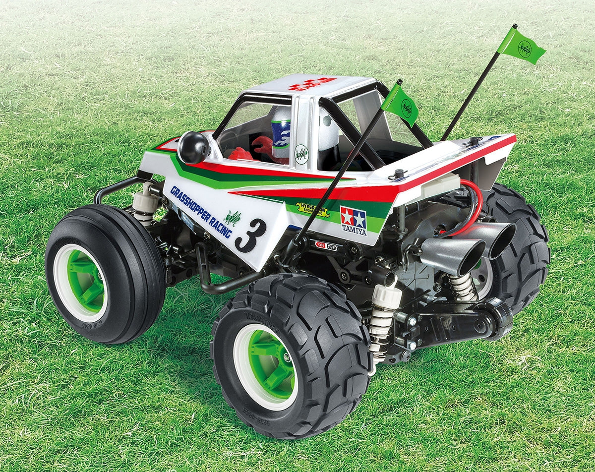 Comical Grasshopper (Wr02Cb) TAM58662