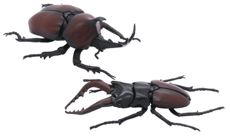 Beetle vs Stag Beetle Showdown Set