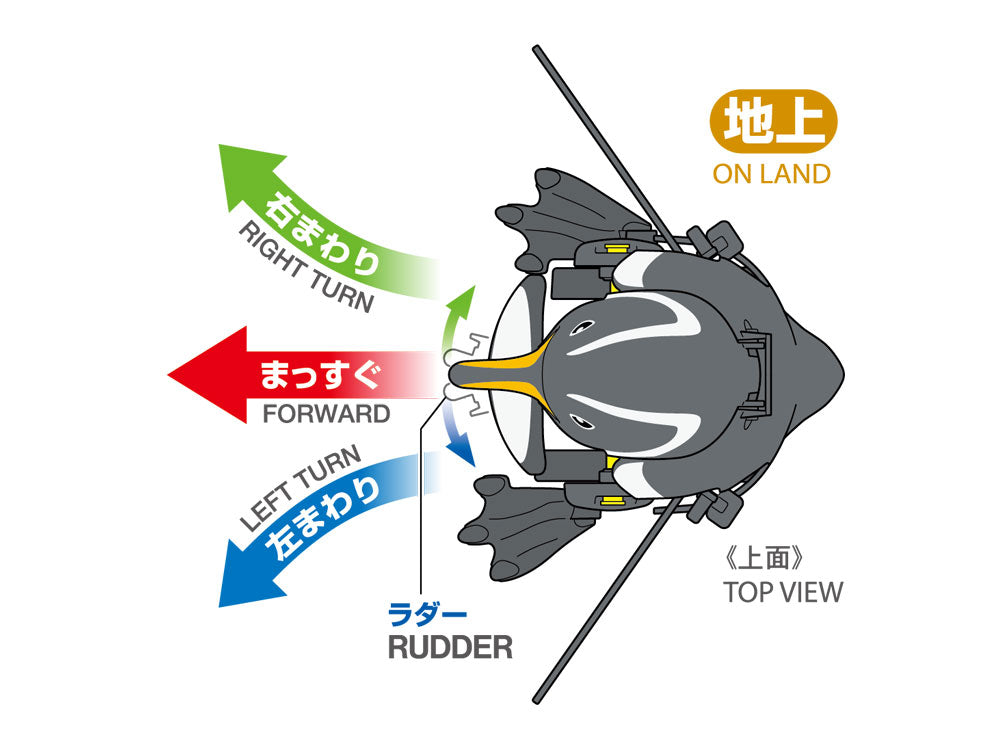 Walking & Swimming Penguin