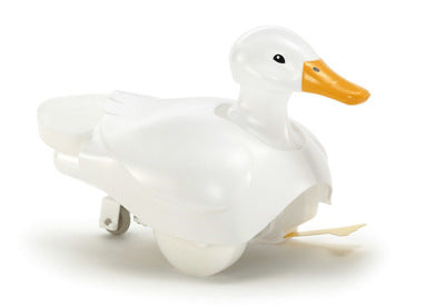 Walking & Swimming Duck
