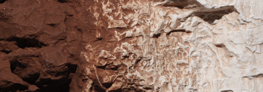 Earth Color, Burnt Umber/4oz