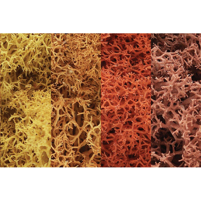 Lichen Bag, Autumn Mix - 82 cu. in.