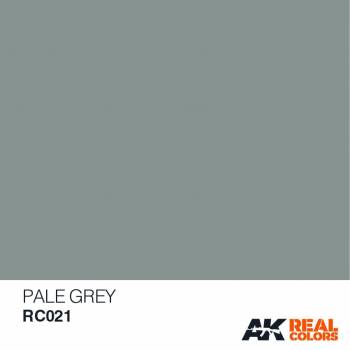AKIRC021 — Real Colors Acrylic Lacquer Paint 10ml Pale Grey