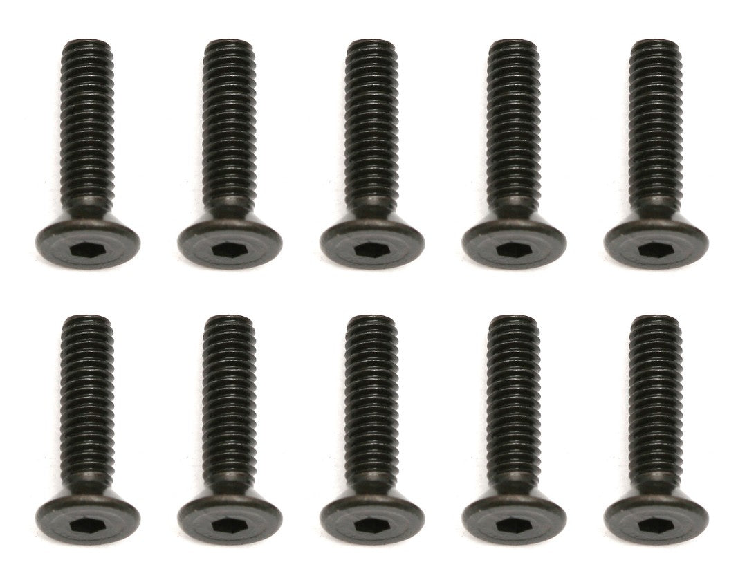 M2.5x10mm Counter Sunk Screw (x10)
