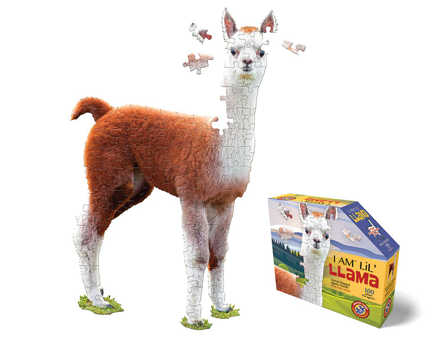 I AM Lil' Llama - 100 PIECE