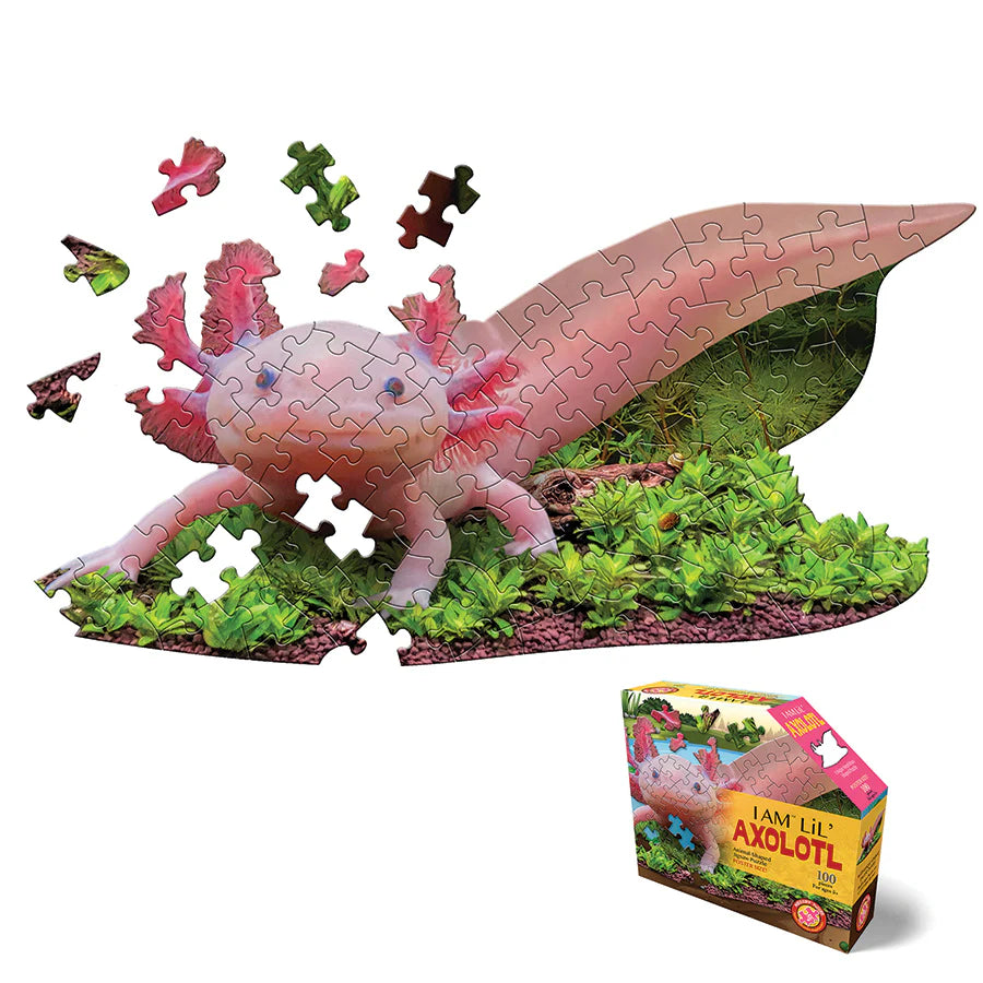 I AM Lil' Axolotl - 100 PIECE