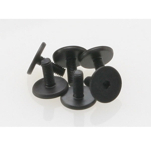3x8mm Flat Head Screw (6)
