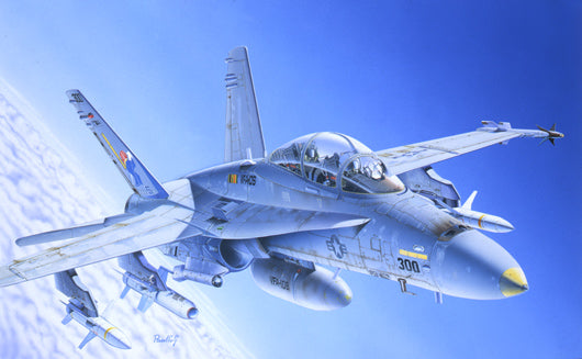 1:72 F/A-18C/D WILD WEASEL