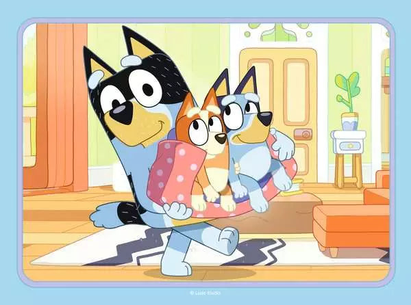 Bluey - 4 in a Box!
