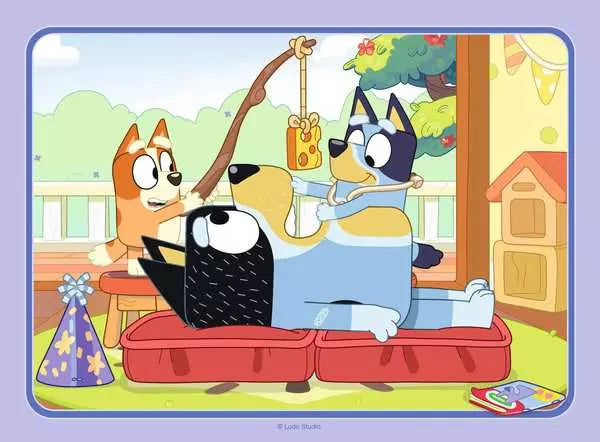 Bluey - 4 in a Box!