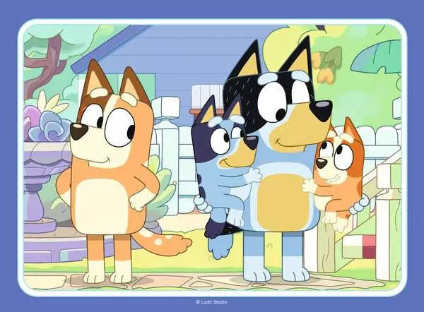 Bluey - 4 in a Box!