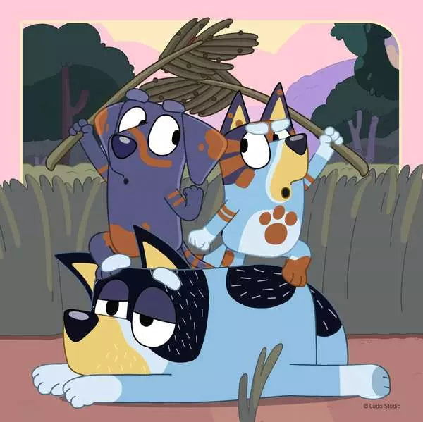 Bluey's Adventures! - 3 in a Box!