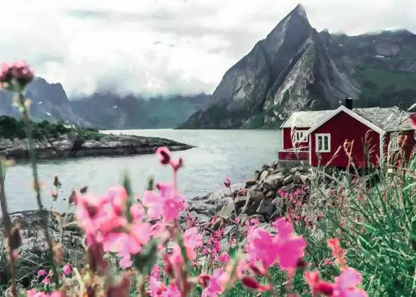 Scandinavian Places - Reine Lofoten Norway