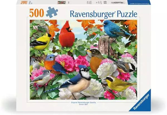 Garden Birds