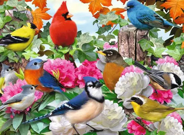 Garden Birds
