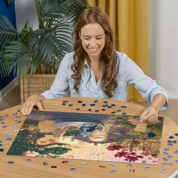 Look & Find: Enchanted Lands