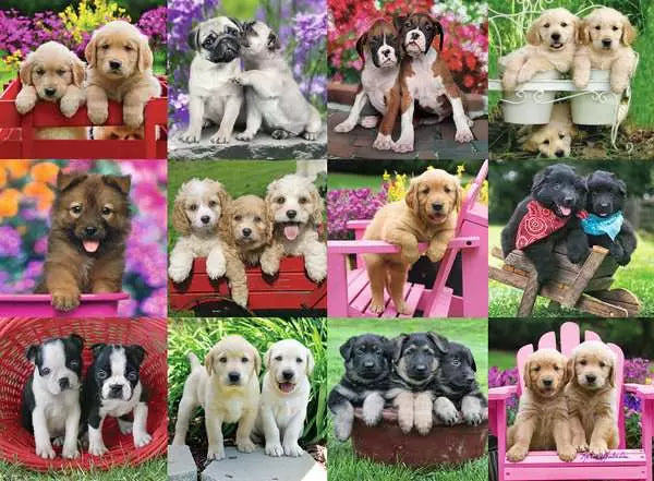 Puppy Pals