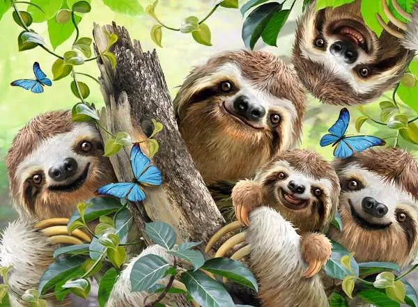 Sloth Selfie