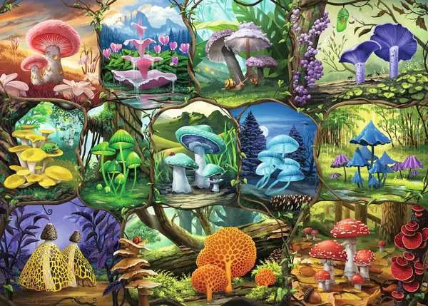 Nathanael Mortensen: Beautiful Mushrooms