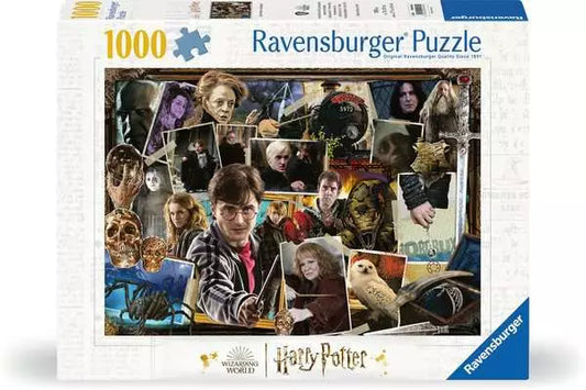 Harry Potter vs Voldemort
