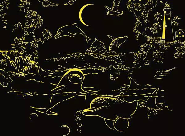 Moonlit Magic