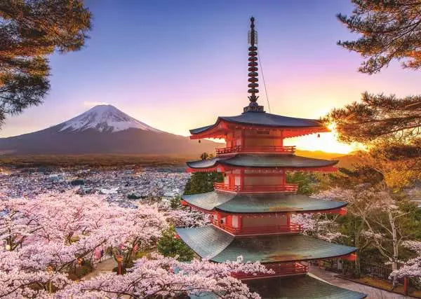Fuji Cherry Blossom View
