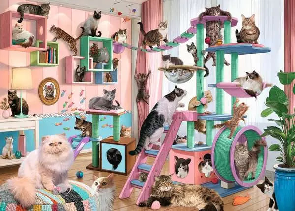 Steve Read: Cat Tree Heaven