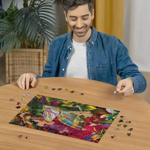 Colourful Animals - Chameleon