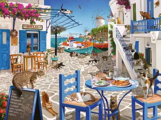 Cats of Mykonos