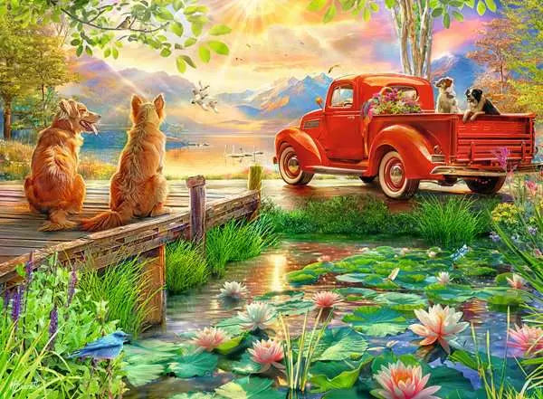 Summer Love