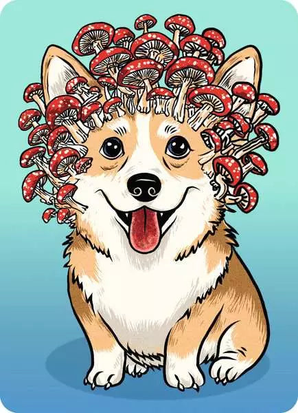 Corgiceps