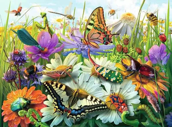 Wonderful World of Insects