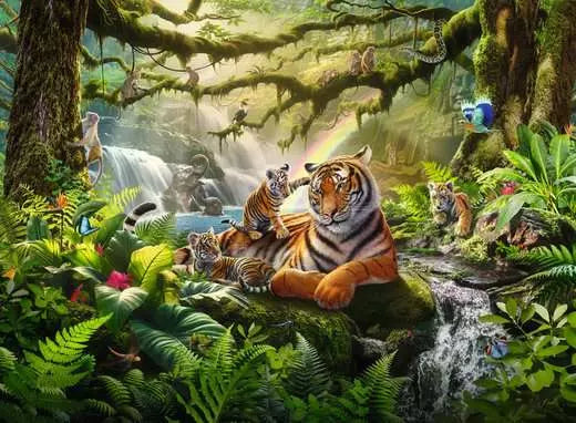 Jungle Wildlife Wonders