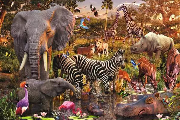 African Animals World