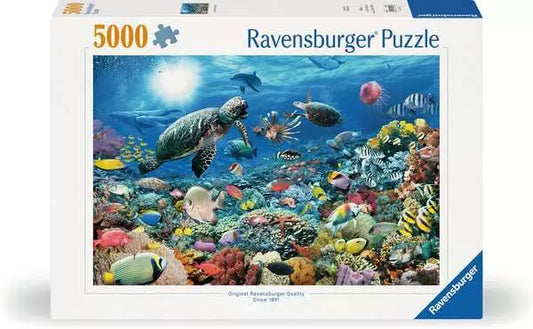 Beneath the Sea