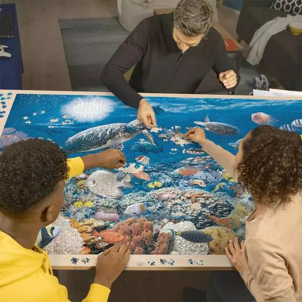 Beneath the Sea