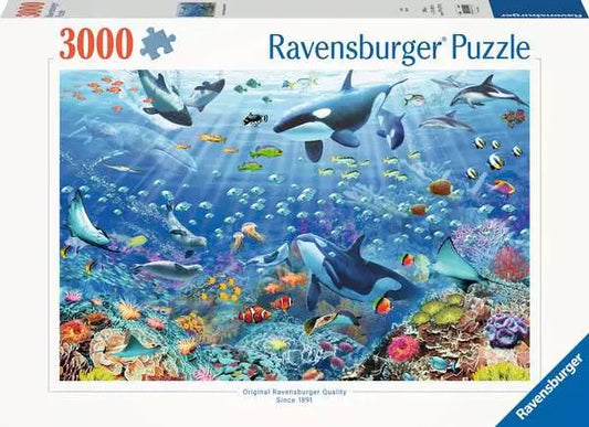 Colorful Underwater World