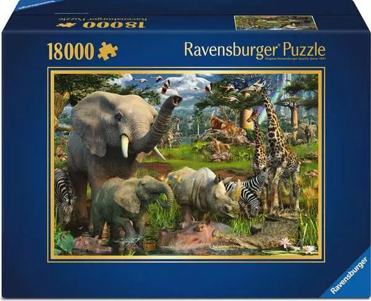 At The Waterhole