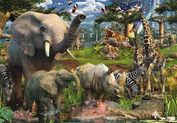 At The Waterhole