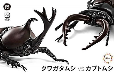 Beetle vs Stag Beetle Showdown Set