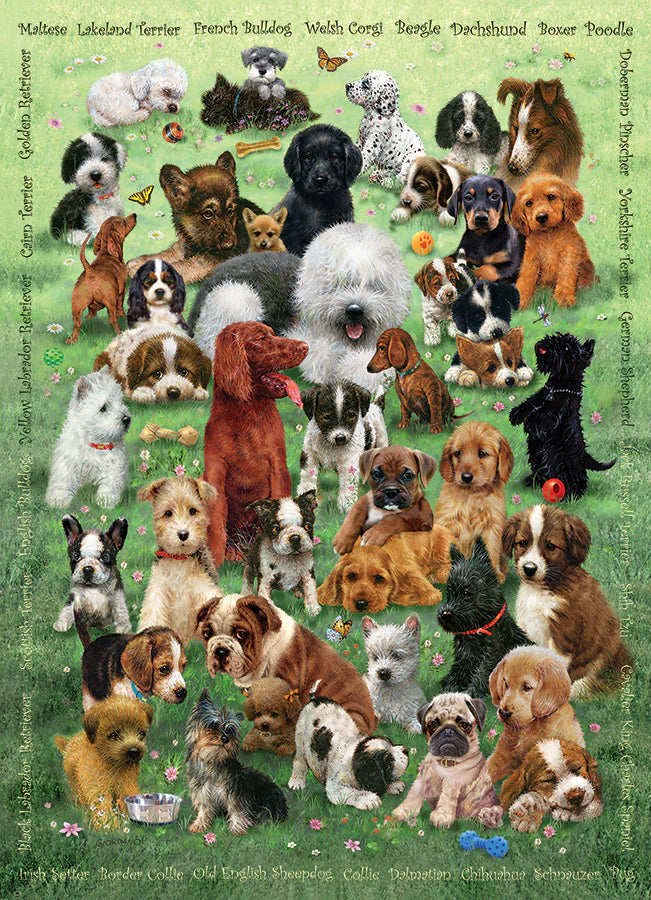 Puppy Love - Family Pieces 350