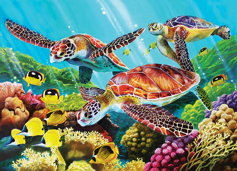 Molokini Current - Family Pieces 350