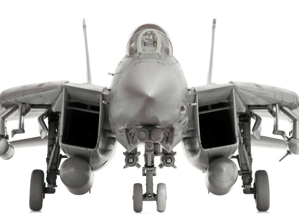 1/72 F-14D TOMCAT – Chris's House
