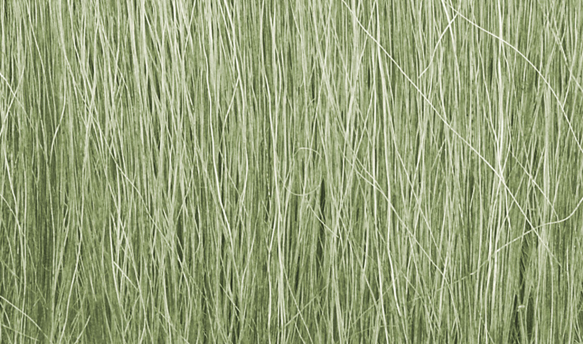 Field Grass Light Green (8g)