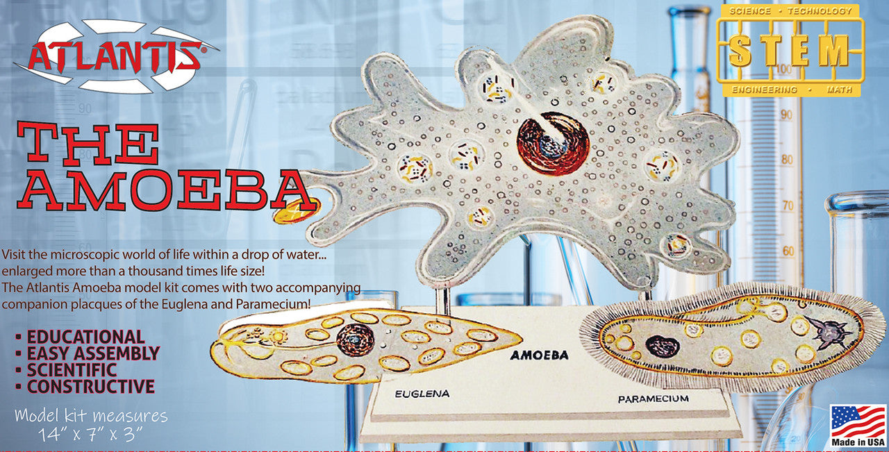 The Amazing Amoeba Educational Kit (14 Inches Wide)
