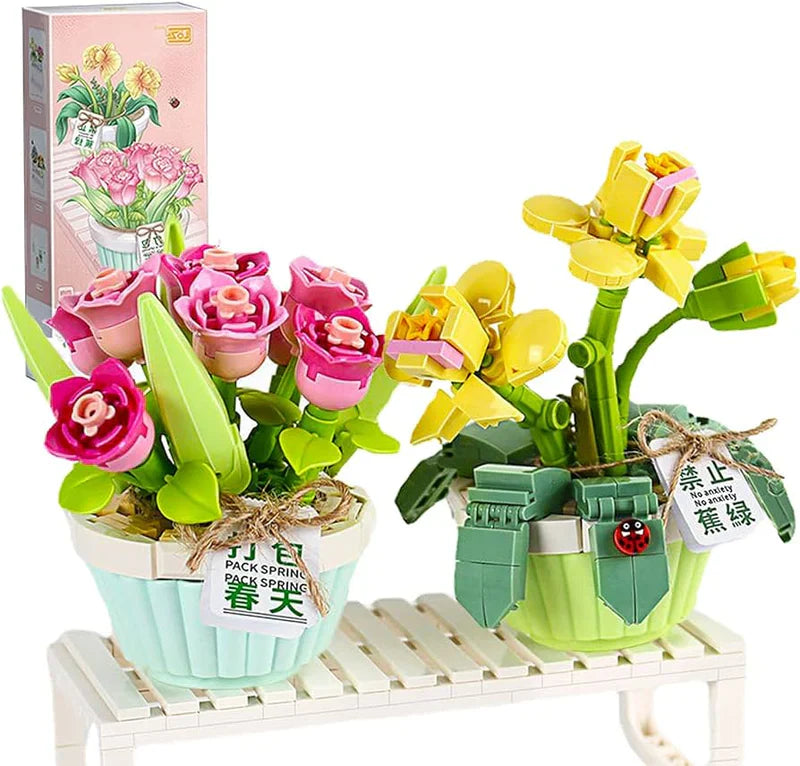 Spring Tulip Orchid