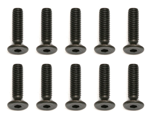 M2.5x10mm Counter Sunk Screw (x10)