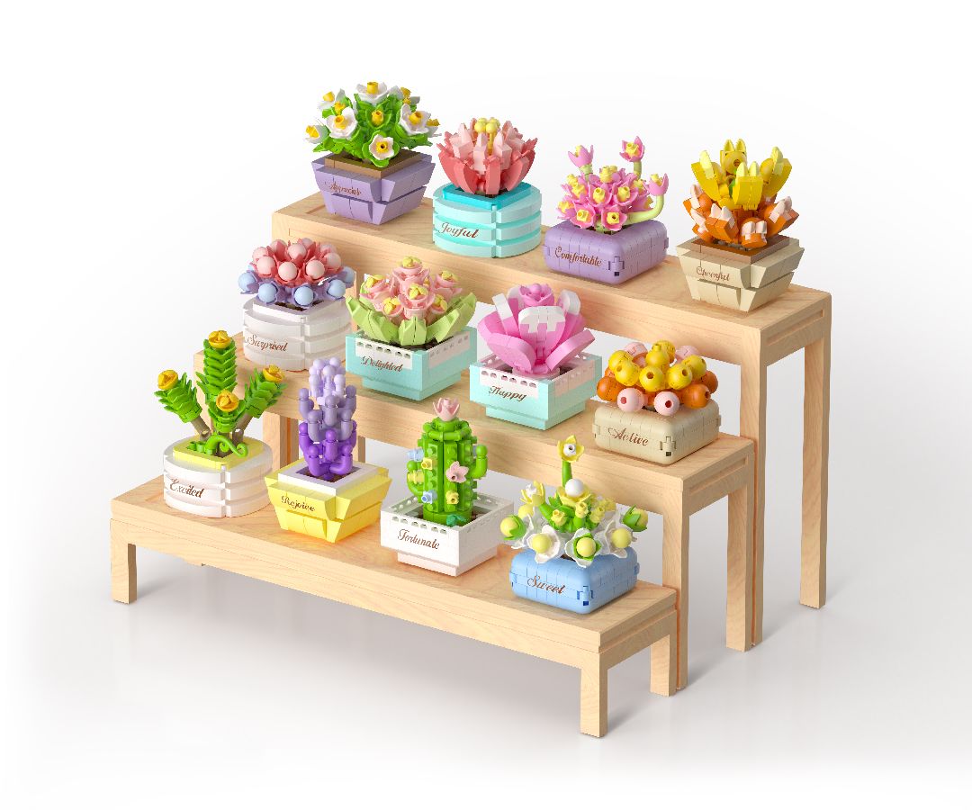 Succulent potted plants Building Kit