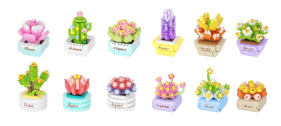 Succulent potted plants Building Kit
