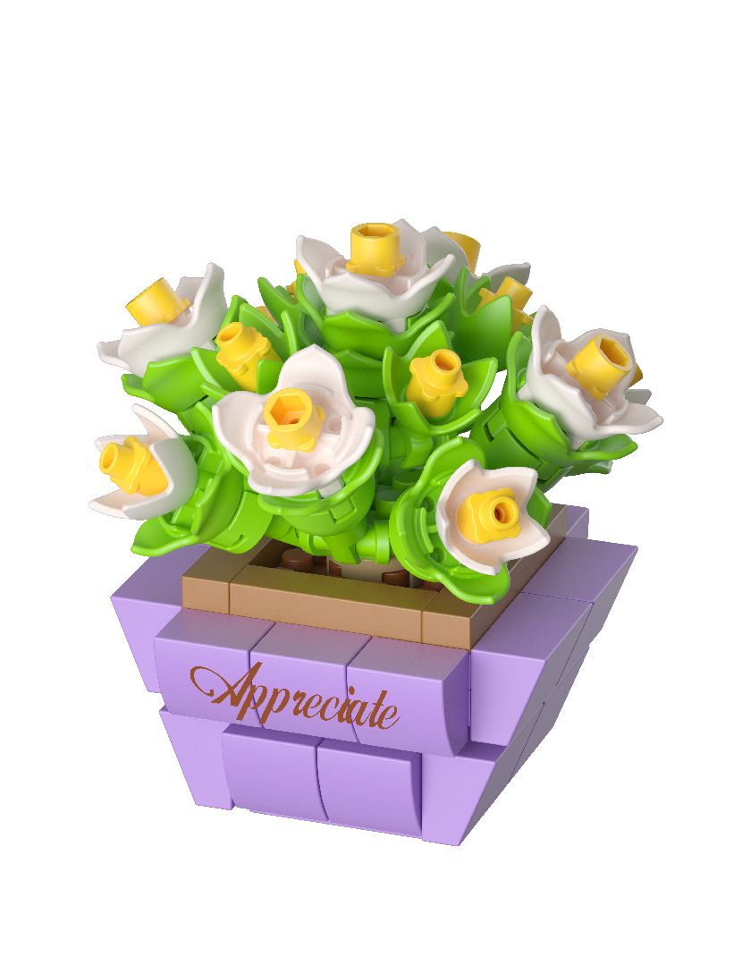 Succulent potted plants Building Kit